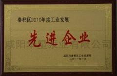 秦都區(qū)2010年度工業(yè)發(fā)展先進企業(yè)